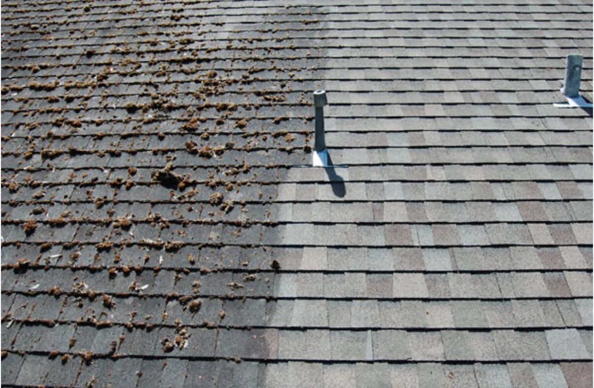 Roof cleaning service