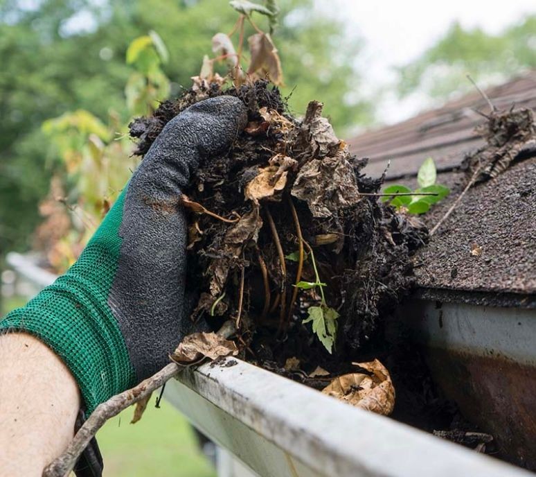 Gutter Cleaning Solutions